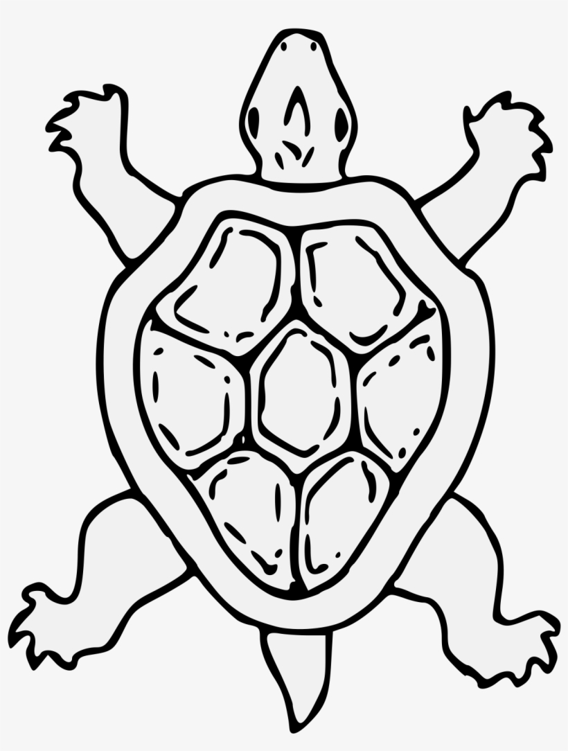 Tortoise - Sca Tortoise Heraldry, transparent png download