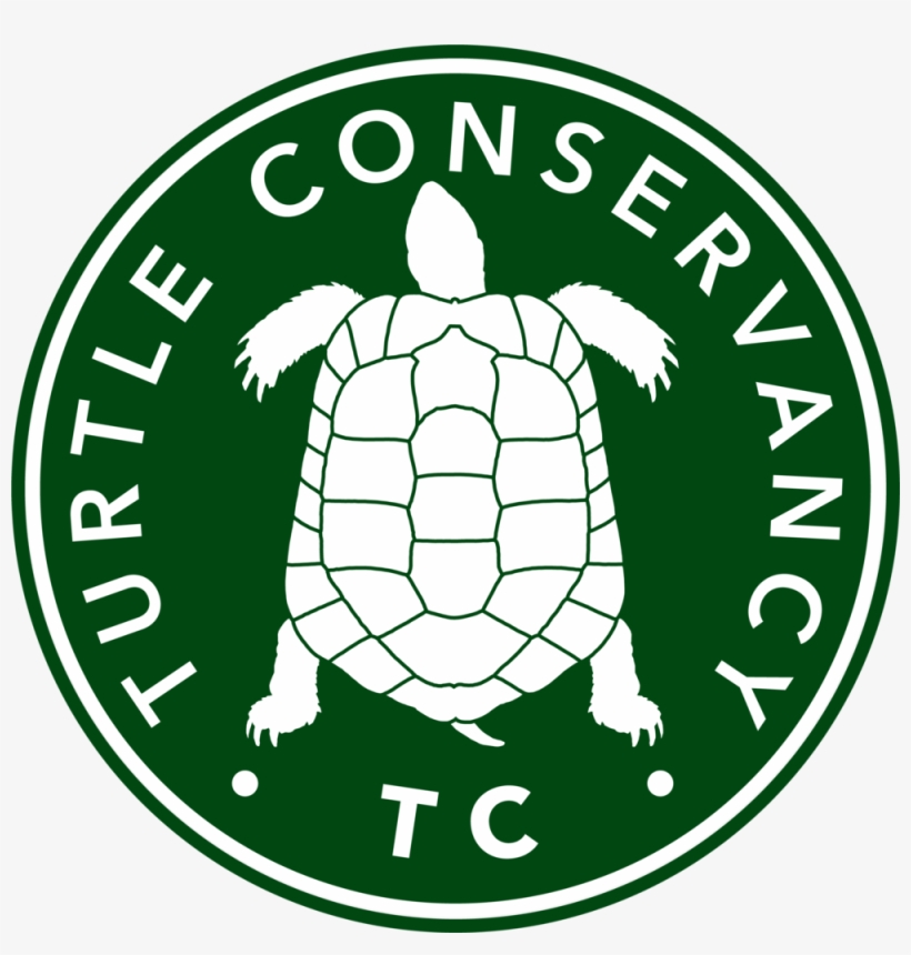 Turtle Conservancy - Turtle, transparent png download