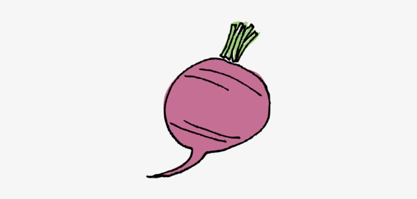Beet, transparent png download