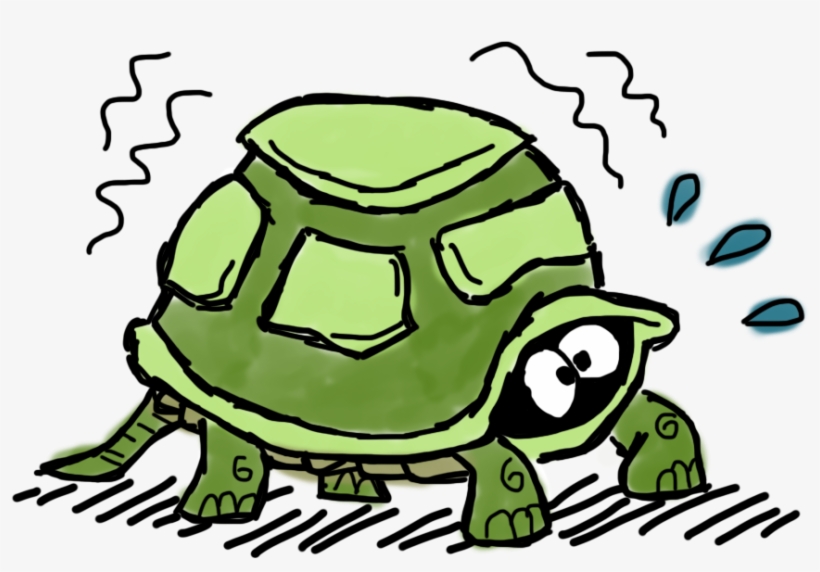 Tortoise, transparent png download