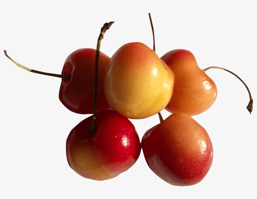 Free Png Rainier Cherries Png Images Transparent - Portable Network Graphics, transparent png download