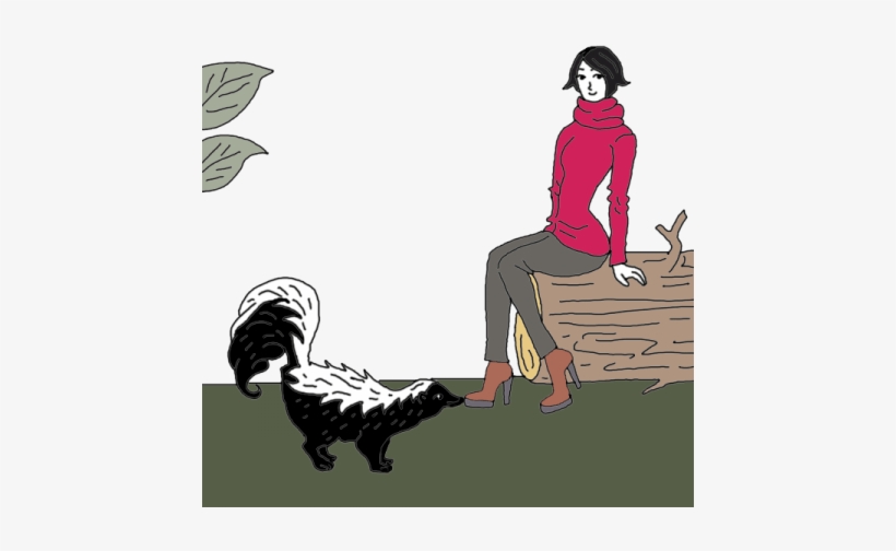 Skunk - Illustration, transparent png download