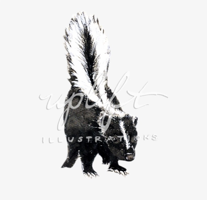Skunk, transparent png download