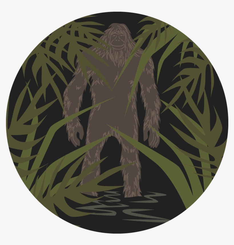 Tsfs 09 04 17 Website - Fortean Society, transparent png download