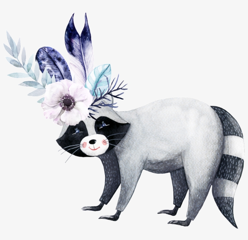 Hand Drawn Animal Plant Cartoon Watercolor Beautiful - Fondos De Pantalla De Mapaches, transparent png download