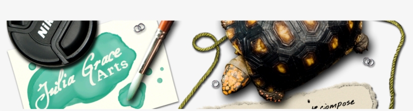 Julia Grace Arts - Grace Arts, transparent png download