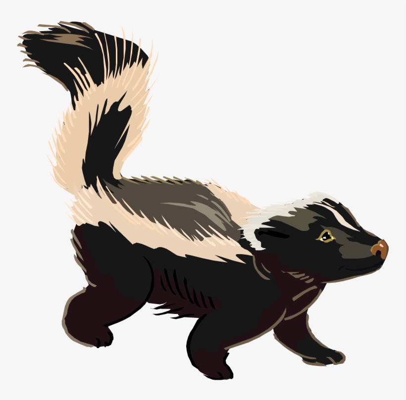 Download - Clipart Images Of A Skunk, transparent png download