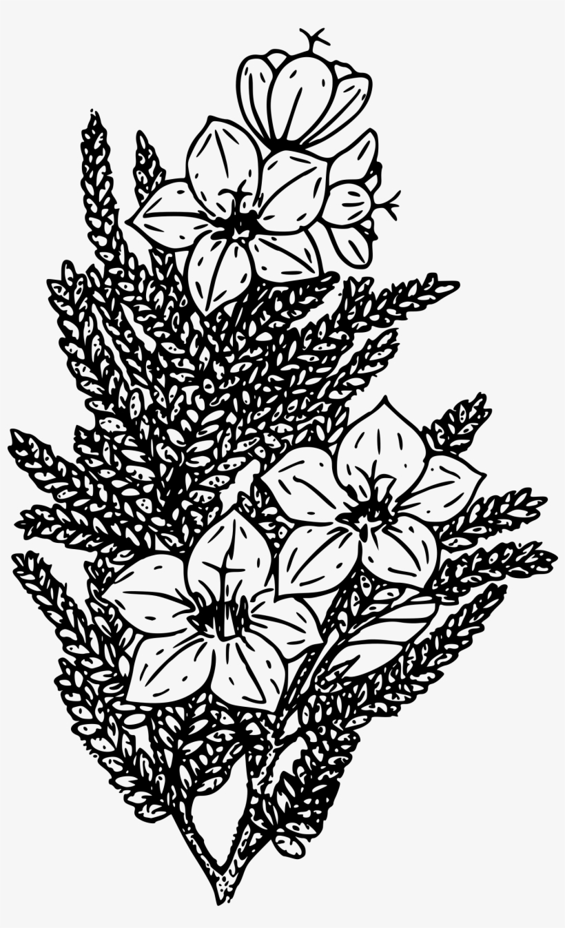 This Free Icons Png Design Of Alpine Skunk Bush, transparent png download