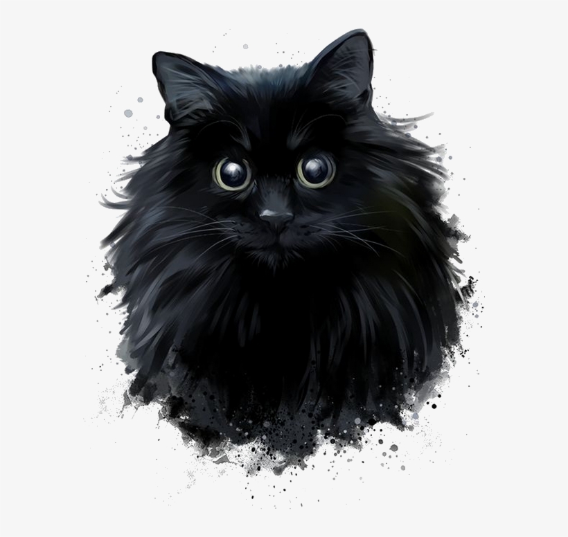 Black And White Norwegian Forest Cat, transparent png download