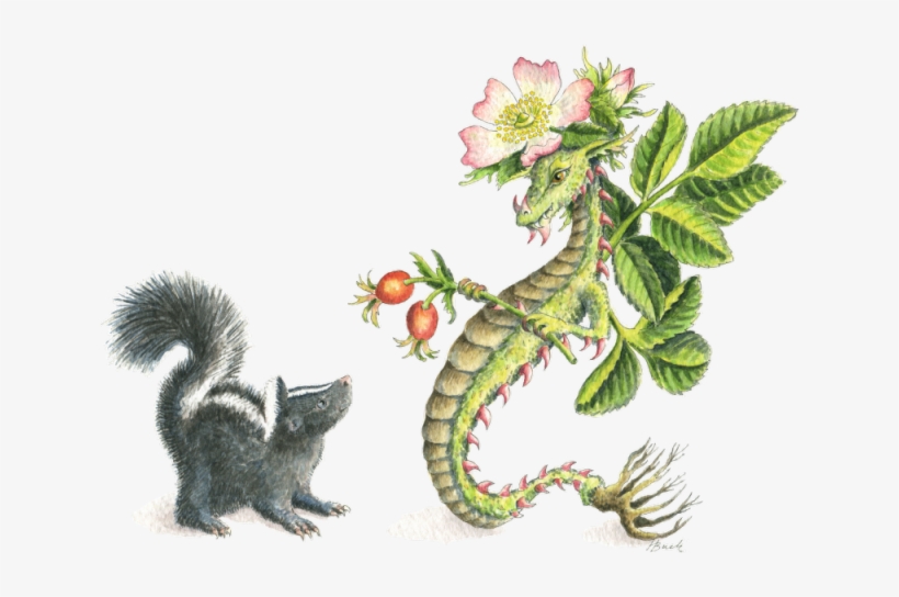 Hbdragon Wild Rose Dragon And Skunk - Rose, transparent png download