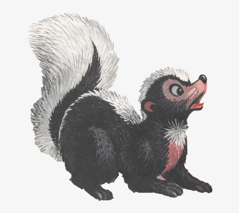 Odora Skunk - Striped Skunk, transparent png download