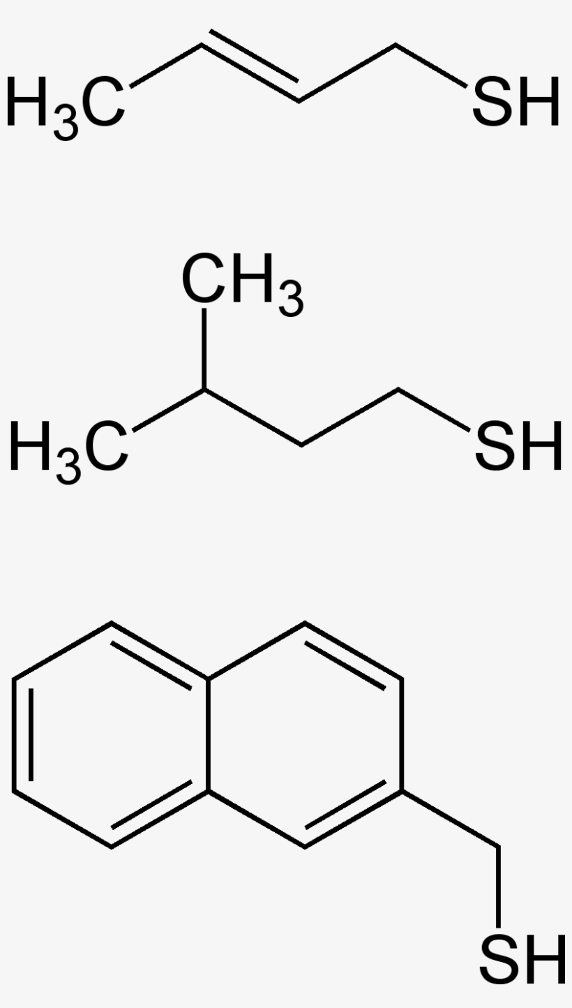Skunk Spray Thiols Structural Formulae - Diagram, transparent png download