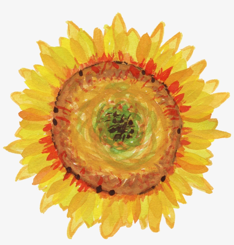 Banner Royalty Free Stock Png Onlygfx Com Free Download - Sunflowers Transparent Water Color, transparent png download