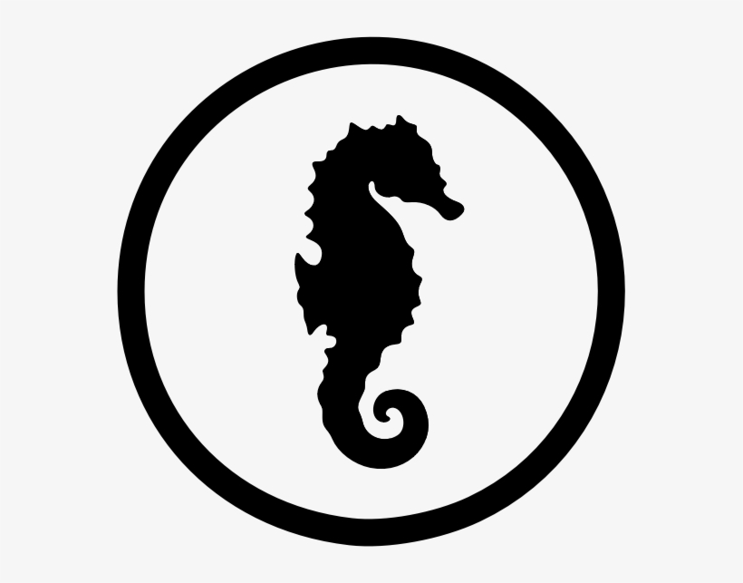 Images Of Seahorses With Transparent Background - Seahorse In A Circle, transparent png download