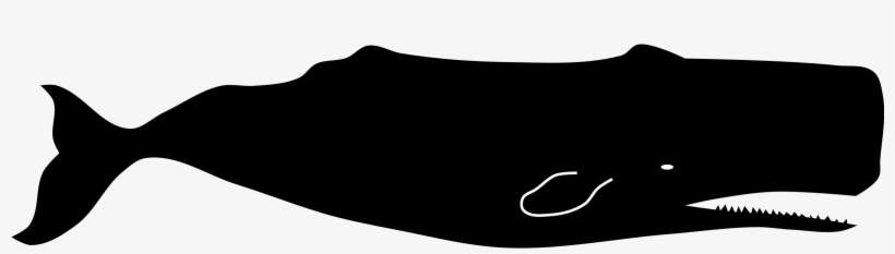 This Free Icons Png Design Of Sperm Whale By Rones, transparent png download