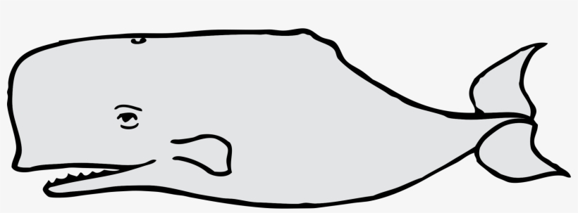 Sperm Whale Porpoise Vertebrate Cetacea Killer Whale - Dibujos De La Ballena Gris, transparent png download