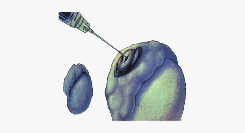 T - E - S - A - Watercolor Paint, transparent png download