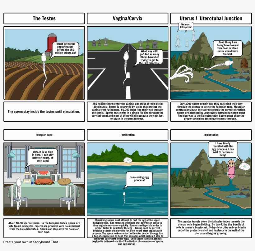 Journey Of The Sperm - Highway, transparent png download