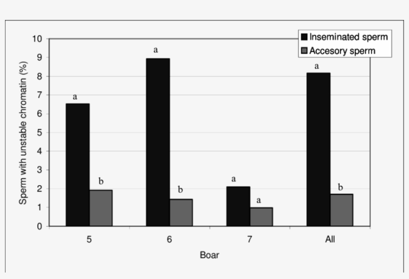 Percentage Of Sperm With Unstable Chromatin In Inseminated - Semen, transparent png download