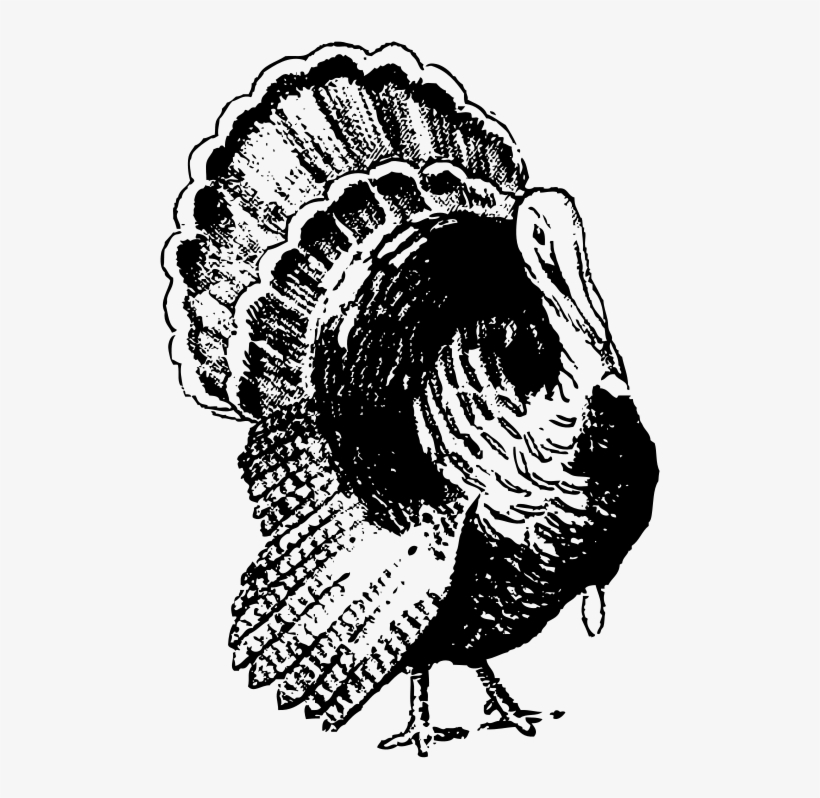 Turkey Black And White Png, transparent png download