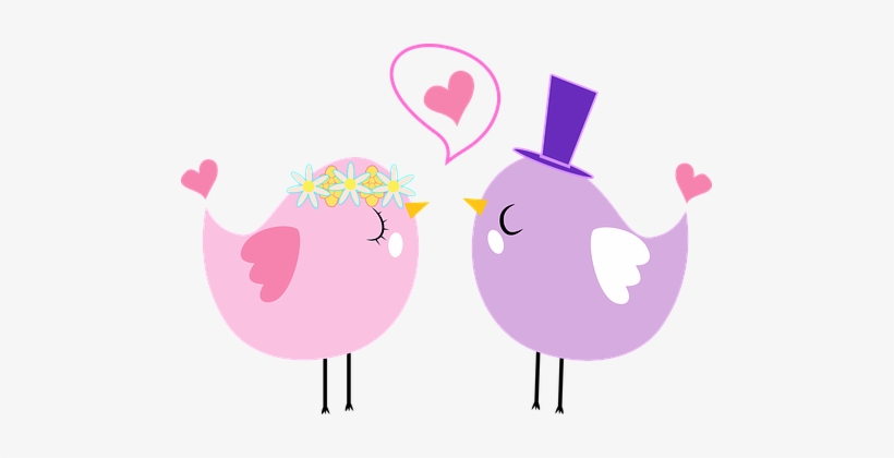 Animals Anthropomorphic Birds Couple Femal - Love Birds Clipart, transparent png download