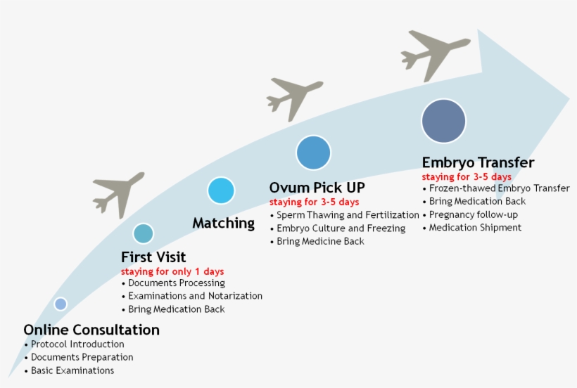 The Procedure Of Sperm Recipient Program - Airline Liveries And Logos, transparent png download