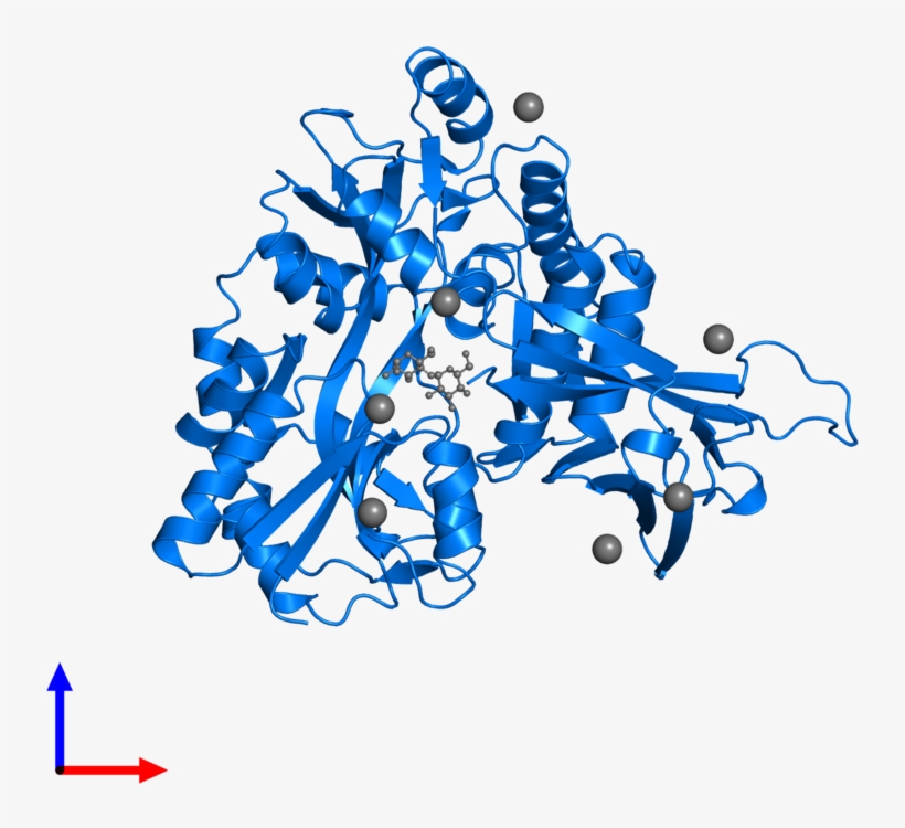 <div Class='caption-body'>pdb Entry 3d4c Contains 1 - Binding Protein, transparent png download