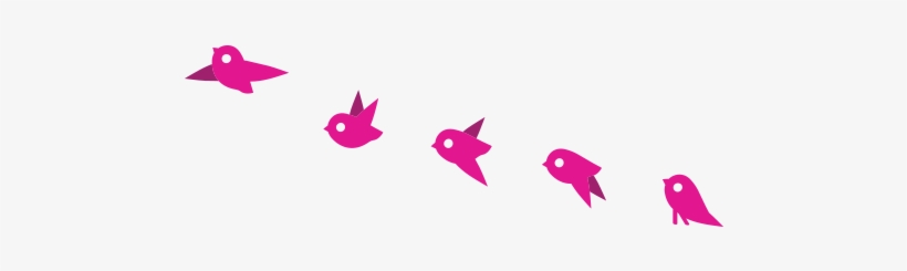 Bird-flying, transparent png download