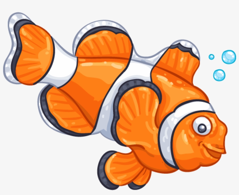 Clown Fish - Clownfish, transparent png download