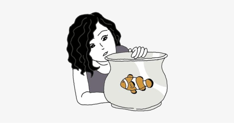 Clown Fish/anemone Fish Symbolism - Clownfish, transparent png download