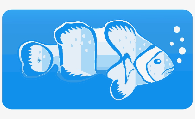 Mb Image/png - Pomacentridae, transparent png download