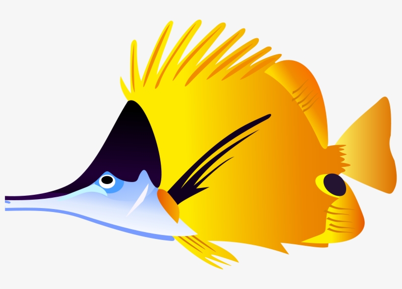 Tropical - Tropical Fish Clip Art, transparent png download