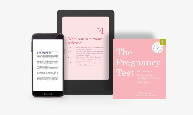 Cover For Pregnancy Test - Phantom Of Menace Shakespeare, transparent png download