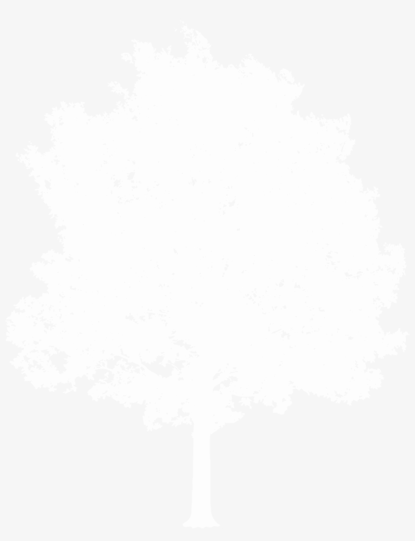 White Tree Png, transparent png download