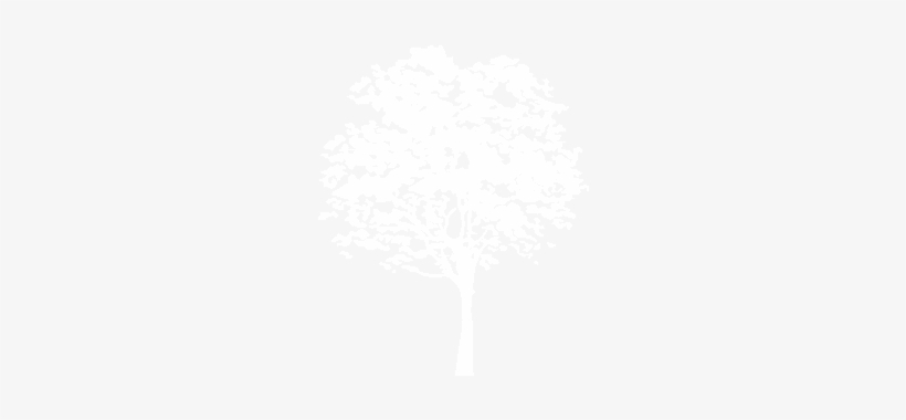 Trees - White Tree Illustration Png, transparent png download