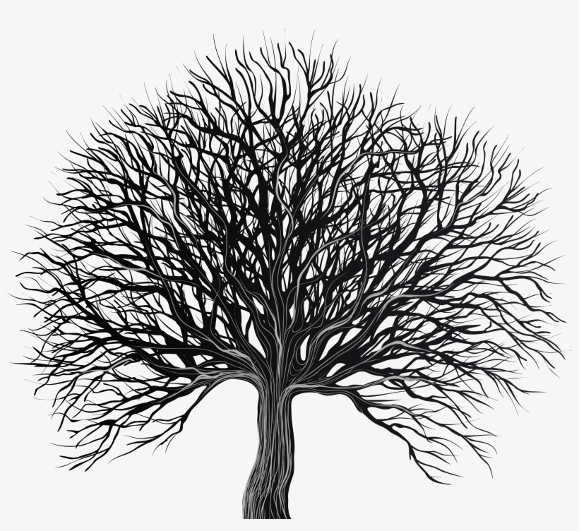 White Tree Png, transparent png download
