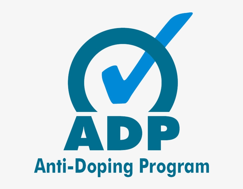 Graphic Design, transparent png download