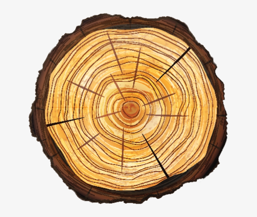 Tree Removal - Transparent Tree Stump Png, transparent png download