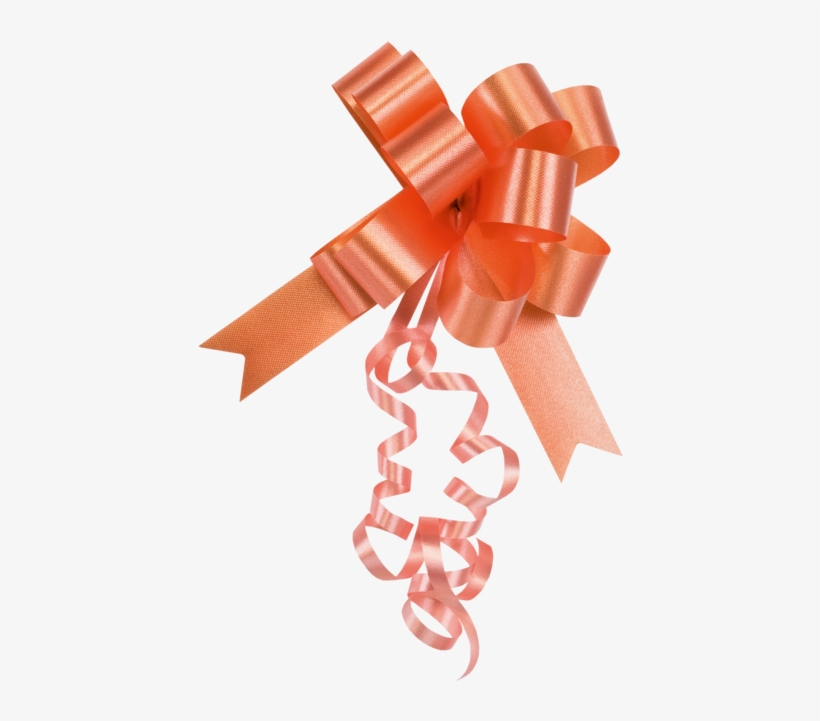 Bow, Pp, 19mm, Ø100mm, Orange - Snelstrik Pp 19mm, transparent png download