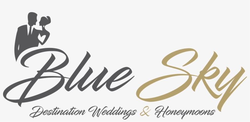 Blue Sky Destination Weddings - Decal House Airplane Wall Decal, Brown, transparent png download