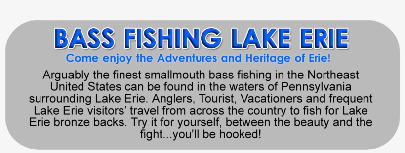 Join Us - Hewlett Packard Enterprise Networking, transparent png download