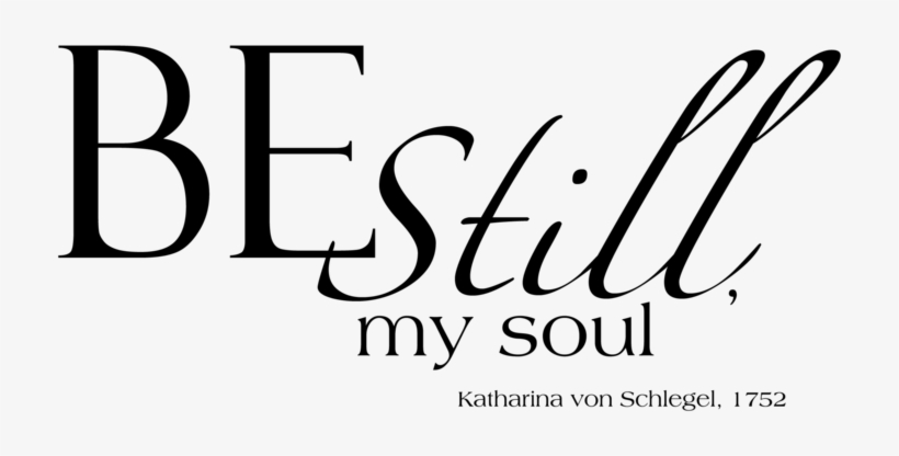 Kevin Nunez Hey Everyone - Still My Soul Katharina Von Schlegel, transparent png download