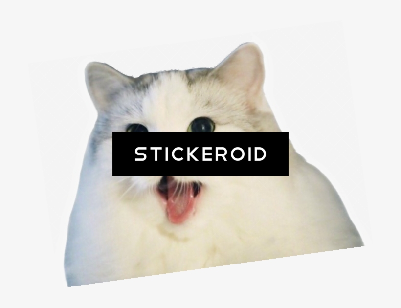 Cat Mya - Cat Yawns, transparent png download