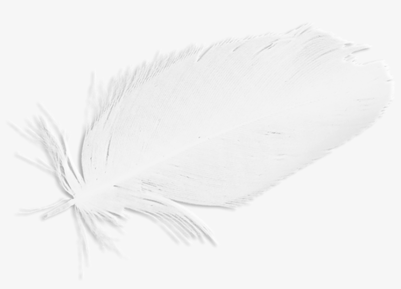 Naomi Supernatural Wings, transparent png download