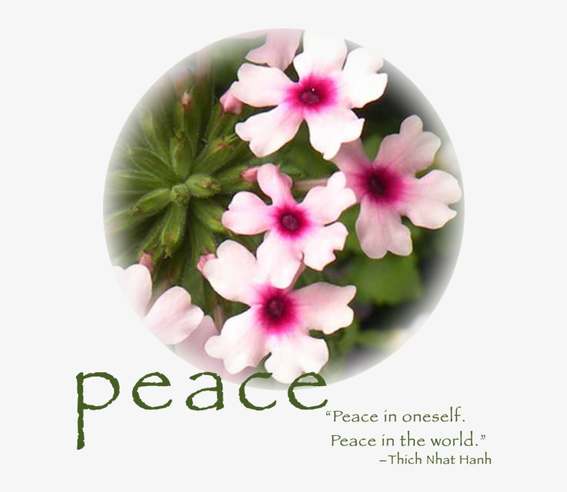 Home - Periwinkle, transparent png download