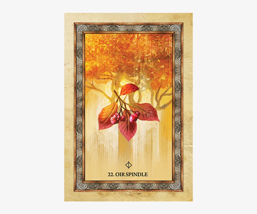 Celtic Tree Oracle, transparent png download