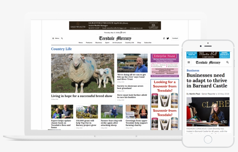 Web Site For Newspaper - Website, transparent png download
