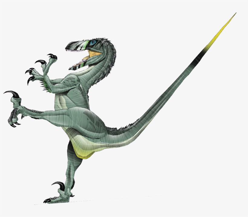 Deinonychus Is A Spectacular, But Fairly Small Dinosaur - Robert Bakker Deinonychus, transparent png download