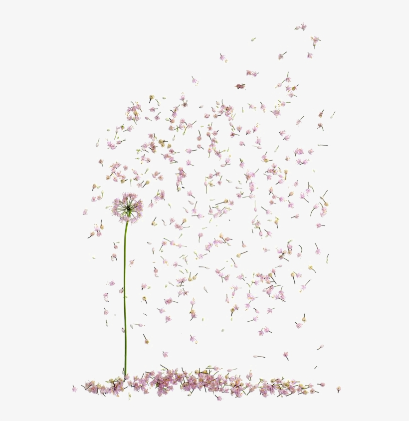 Floral Design Petal Flower - Si Te Rindes Cuando Las Cosas Se Empiezan A Poner Difíciles, transparent png download