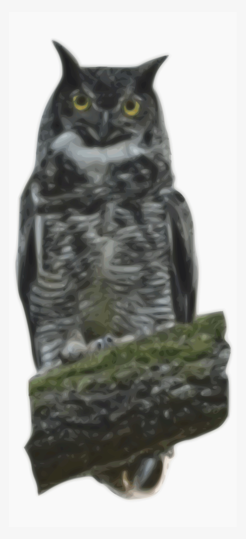 Big Image - Owl, transparent png download